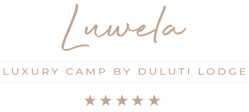 Luwela- Serengeti Luxury Safari Camp