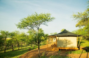 Luwela Camp Tent Interior