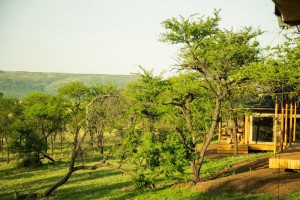 Luwela Camp Tent Interior